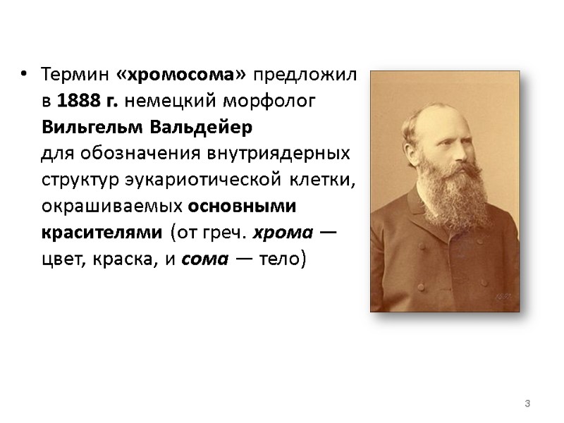 Термин «хромосома» предложил в 1888 г. немецкий морфолог Вильгельм Вальдейер   для обозначения